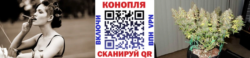 Бошки Шишки план  площадка Telegram  Калтан 